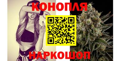мяу мяу мука Кандалакша