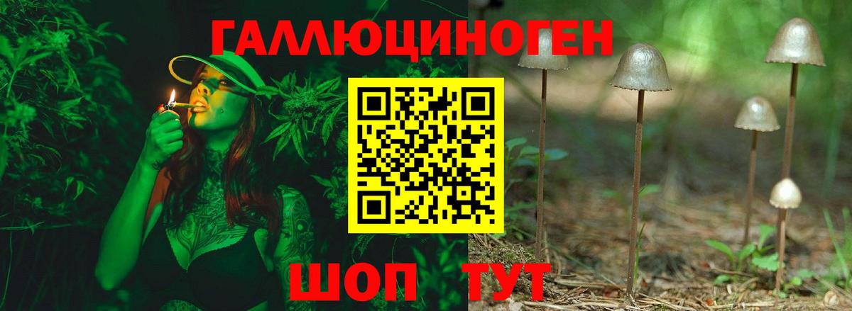 Щёлково  Галлюциногенные грибы GOLDEN TEACHER  Галлюциногенные грибы GOLDEN TEACHER  Вход с VPN 